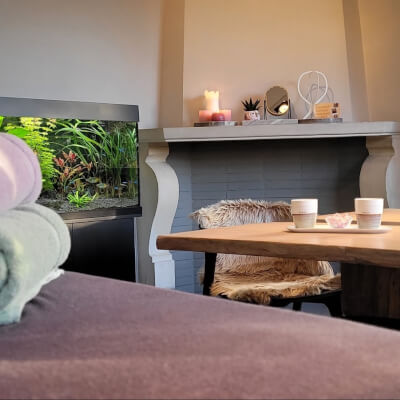 Van der Eecken, An An Van der Eecken